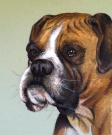 boxer painting